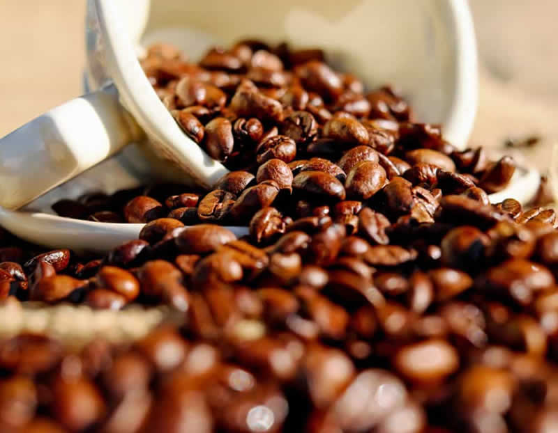 Café Araita